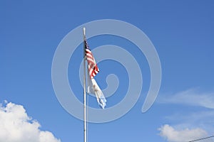 Flags In The Wind photo