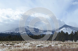 Flagstaff Dook'o'slid Sanfrancisco Peaks Snow Day photo