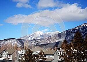A Flagstaff Neighborhood in Winter photo