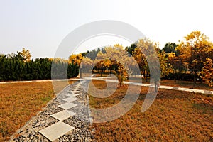 flagstone road in the park