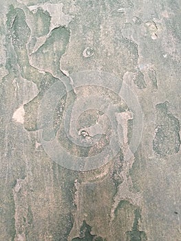 Flagstone texture background