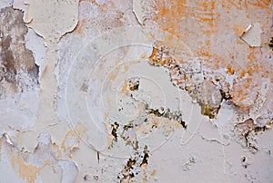 Flaking paint