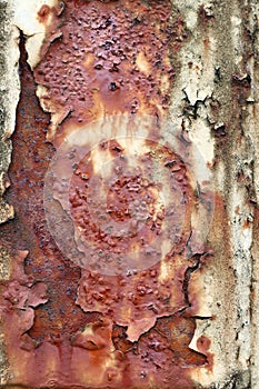 Flaking paint on rusted iron