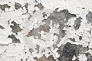 Flaking White Paint on Wall