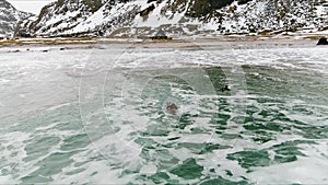 Flakstad Skagsanden surfers beach Norway winter aerial 4k video over Lofoten Archipelago , fjord covered in snow, polar circle