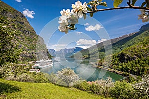 Flam village with ship in harbor against fjord during spring time, Norway