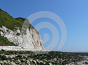 Flamborough cliff