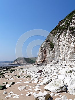 Flamborough cliff