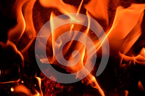 Flame of burning firewood as a background.