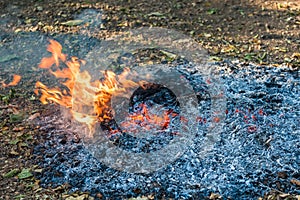 Flame-burning pile of dry autumn leaves and their ashes