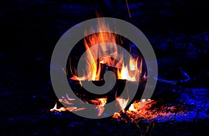 Flame of camfire