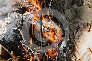 Flame of charcoal fire. Hearth for cooking and heating