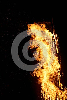 Flame of fire on a black background. Vertical photo