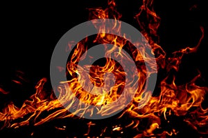 Flame fires. Burn lights on a black background. Fire flames on black background. Abstract fire flame background.