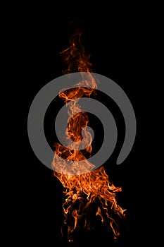 Flame fires. Burn lights on a black background. Fire flames on black background. Abstract fire flame background.