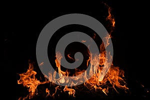 Flame fires. Burn lights on a black background. Fire flames on black background. Abstract fire flame background.