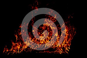 Flame fires. Burn lights on a black background. Fire flames on black background. Abstract fire flame background.