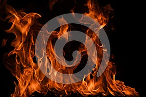 Flame fires. Burn lights on a black background. Fire flames on black background. Abstract fire flame background.