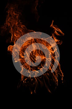 Flame fires. Burn lights on a black background. Fire flames on black background. Abstract fire flame background.