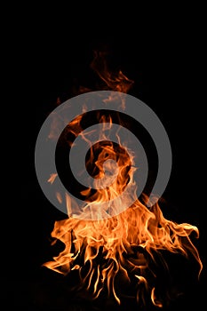 Flame fires. Burn lights on a black background. Fire flames on black background. Abstract fire flame background.