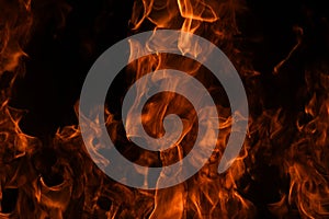 Flame fires. Burn lights on a black background. Fire flames on black background. Abstract fire flame background.