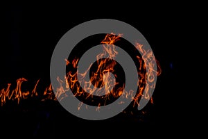 Flame fires. Burn lights on a black background. Fire flames on black background. Abstract fire flame background.