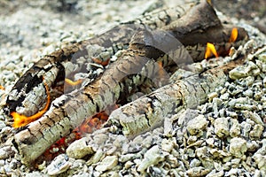 Flame of firewood closeup