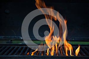 Flame grilled