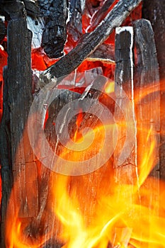 Flame over burning wood close up