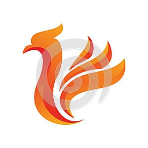 Flame phoenix logo design