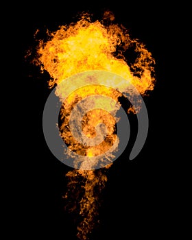 Flame tongue goes from gas burner. Isolated fire texture.