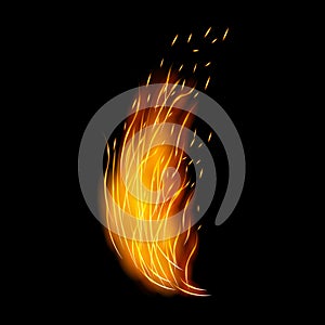 Flame vector icon.Realistic vector icon isolated on white background flame.