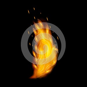 Flame vector icon.Realistic vector icon isolated on white background flame.