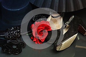 Flamenco accessories