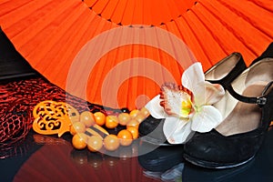 Flamenco accessories