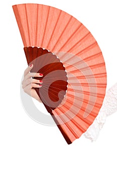 Flamenco accessories