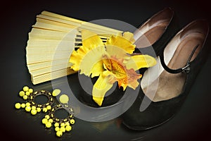 Flamenco accessories