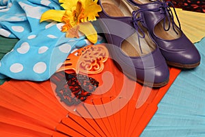 Flamenco accessories