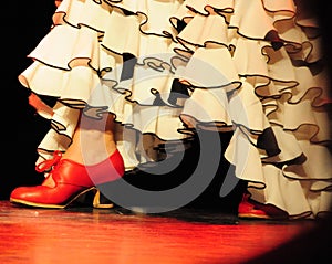 Flamenco dance photo