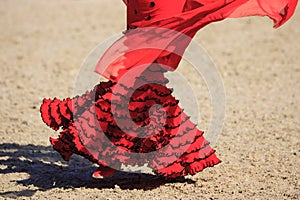 Flamenco dress