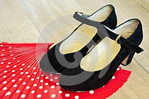 Flamenco shoes on fan photo
