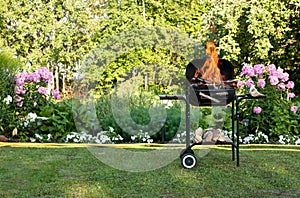 Flames in a barbecue