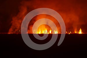 The flames burn in the dry fields and straw at night, the smog problem and global warming in Southeast Asia, Burma, Thailand, Laos photo