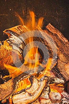 Flames burning a bonfire with coals