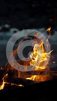 Flames burning wood in the night