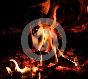 flames on burning wood photo