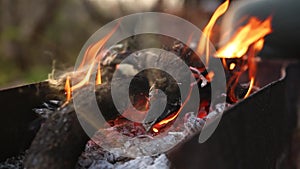 Flames of camp fire in slow motion