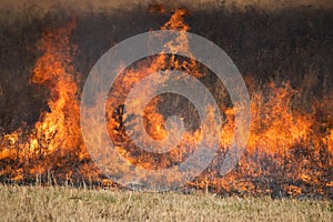 Flames from a controlled burn