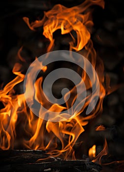 Flames from the fire