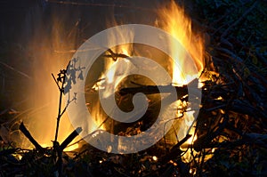 Flames of fire in dark background